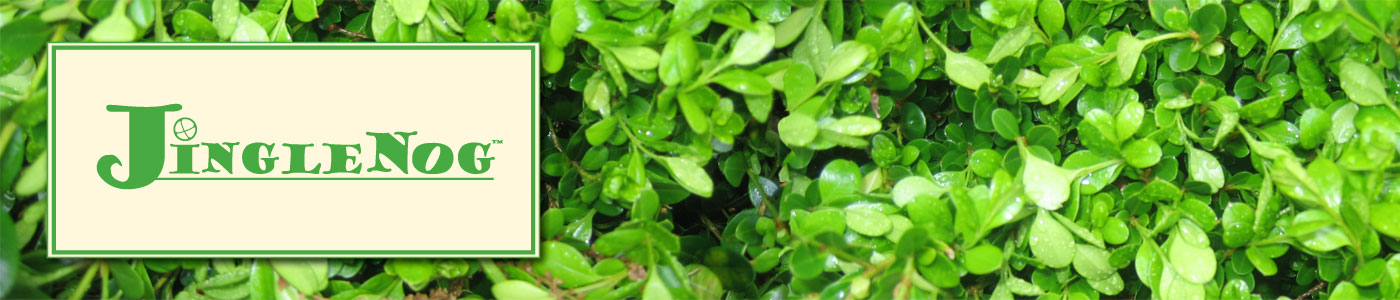 JingleNog Blog
