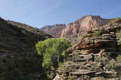 Bright Angel Trail View