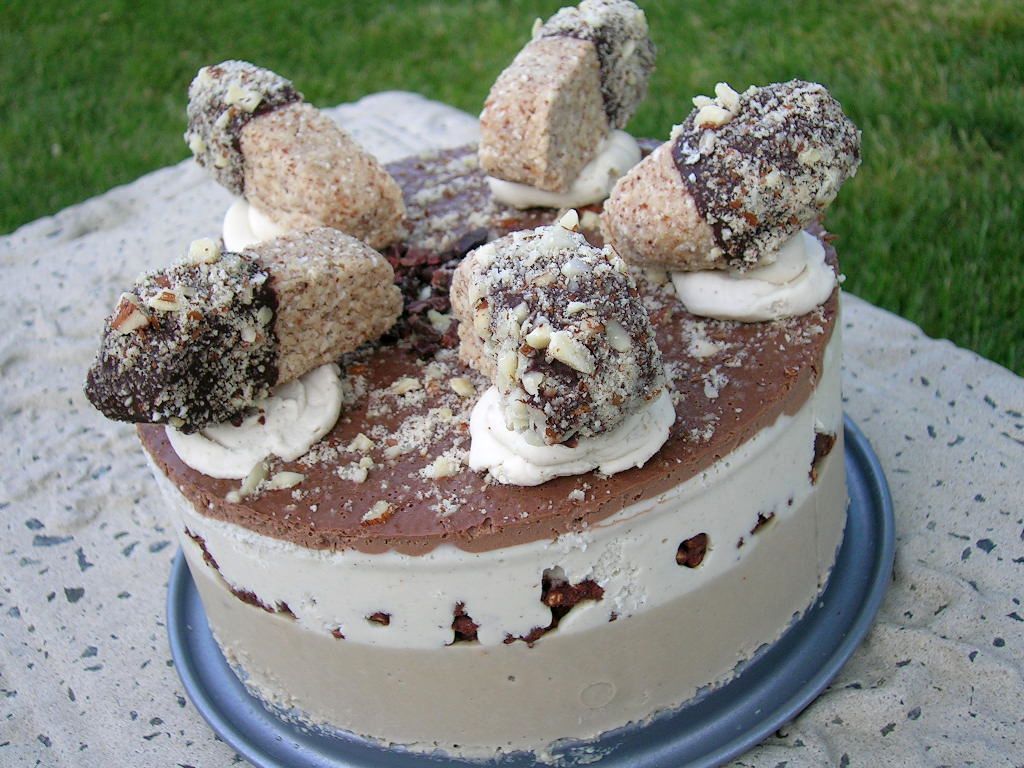 animalfriendly eating the ultimate raw ice cream cake challenge café