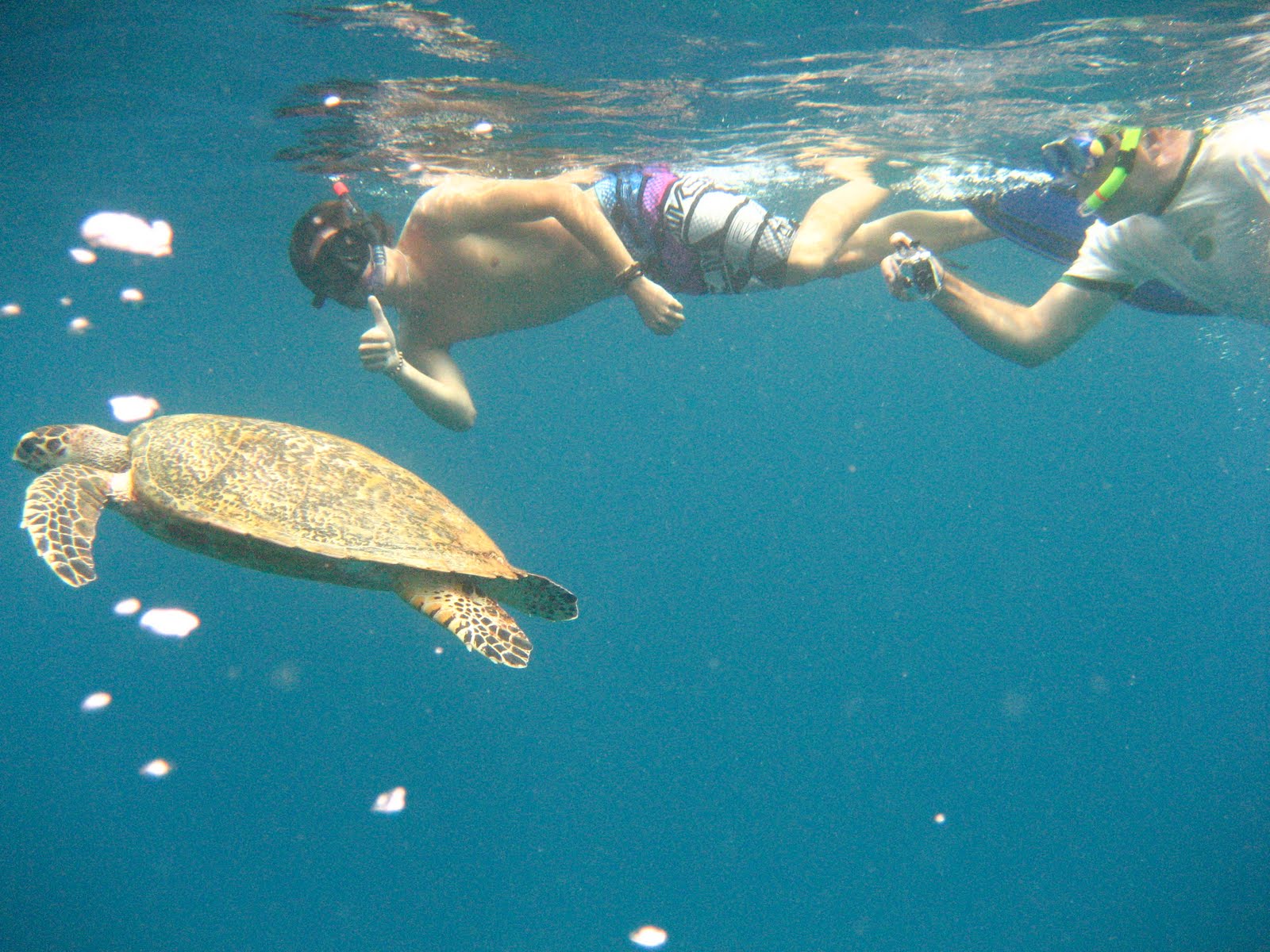 [IMG_9159.jpg]