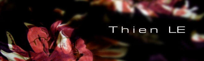 Thien LE Studio