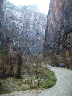 Virgin River at end of trail toward narrows