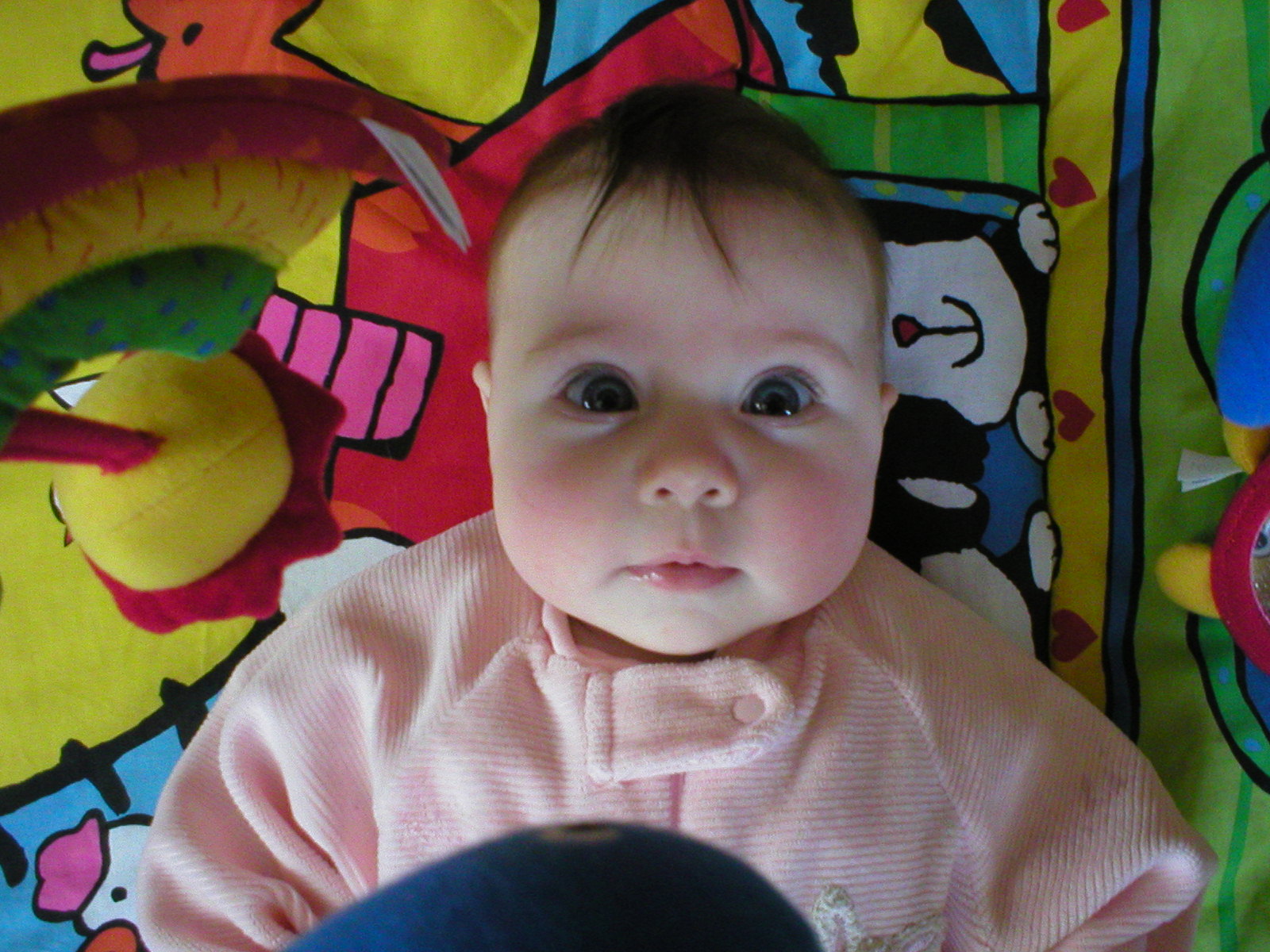 [P1010104.JPG]