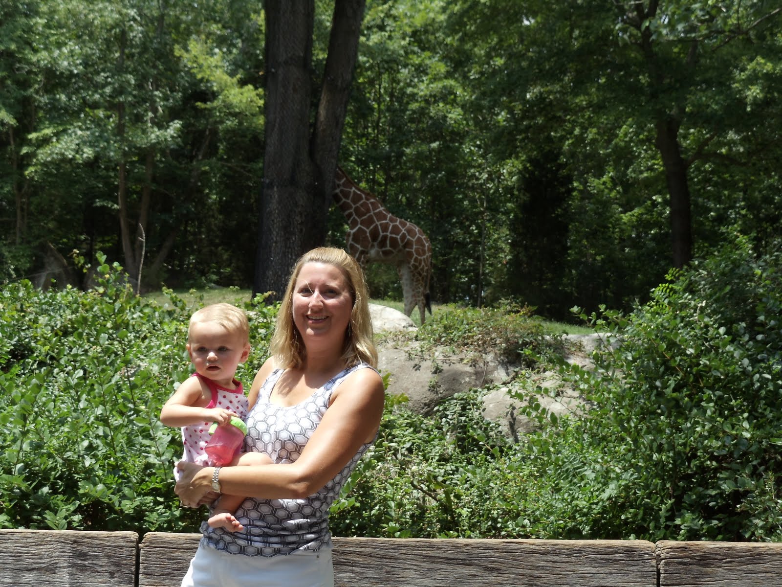 asheboro zoo logo