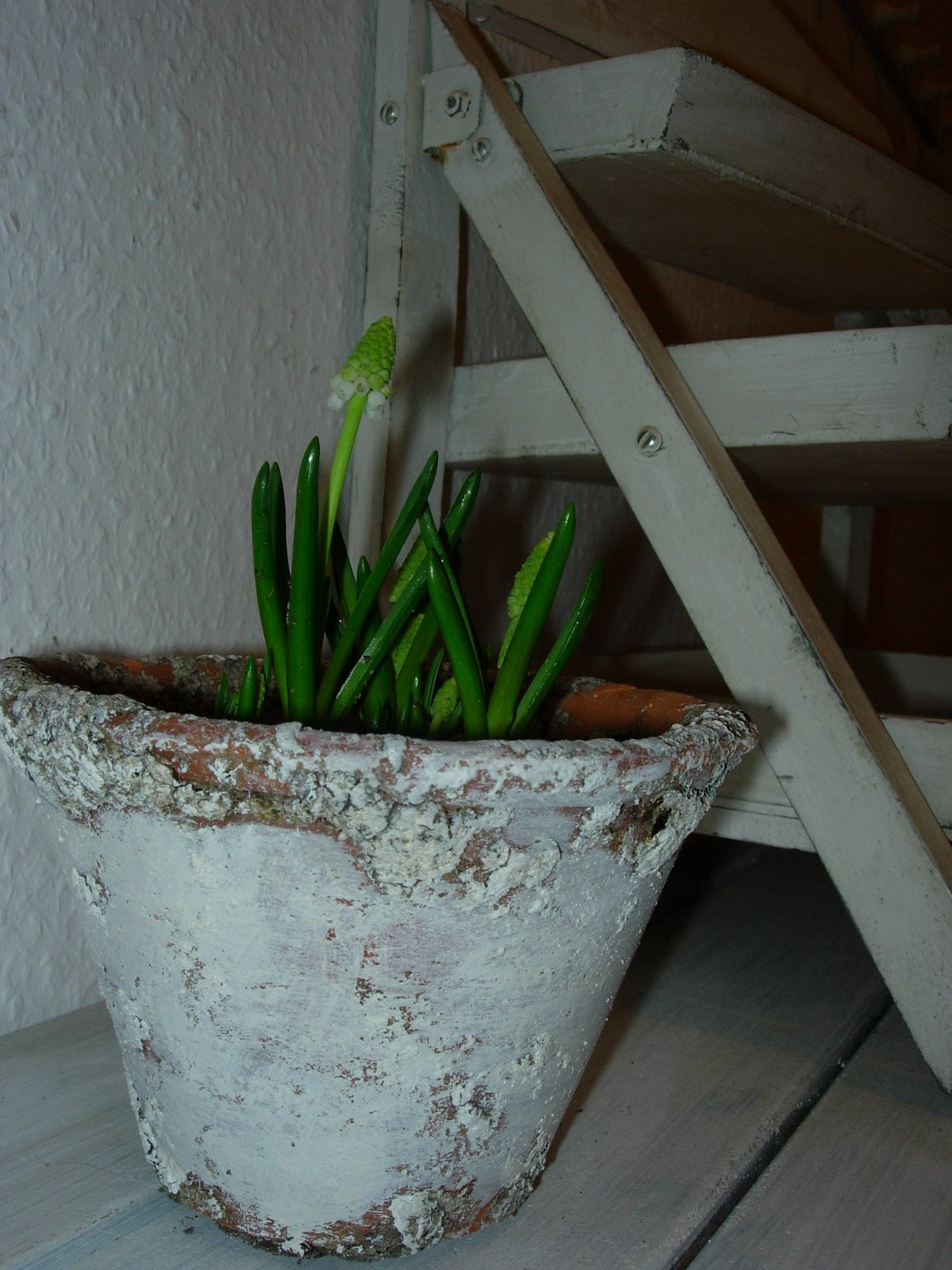 [DSCN5600.JPG]
