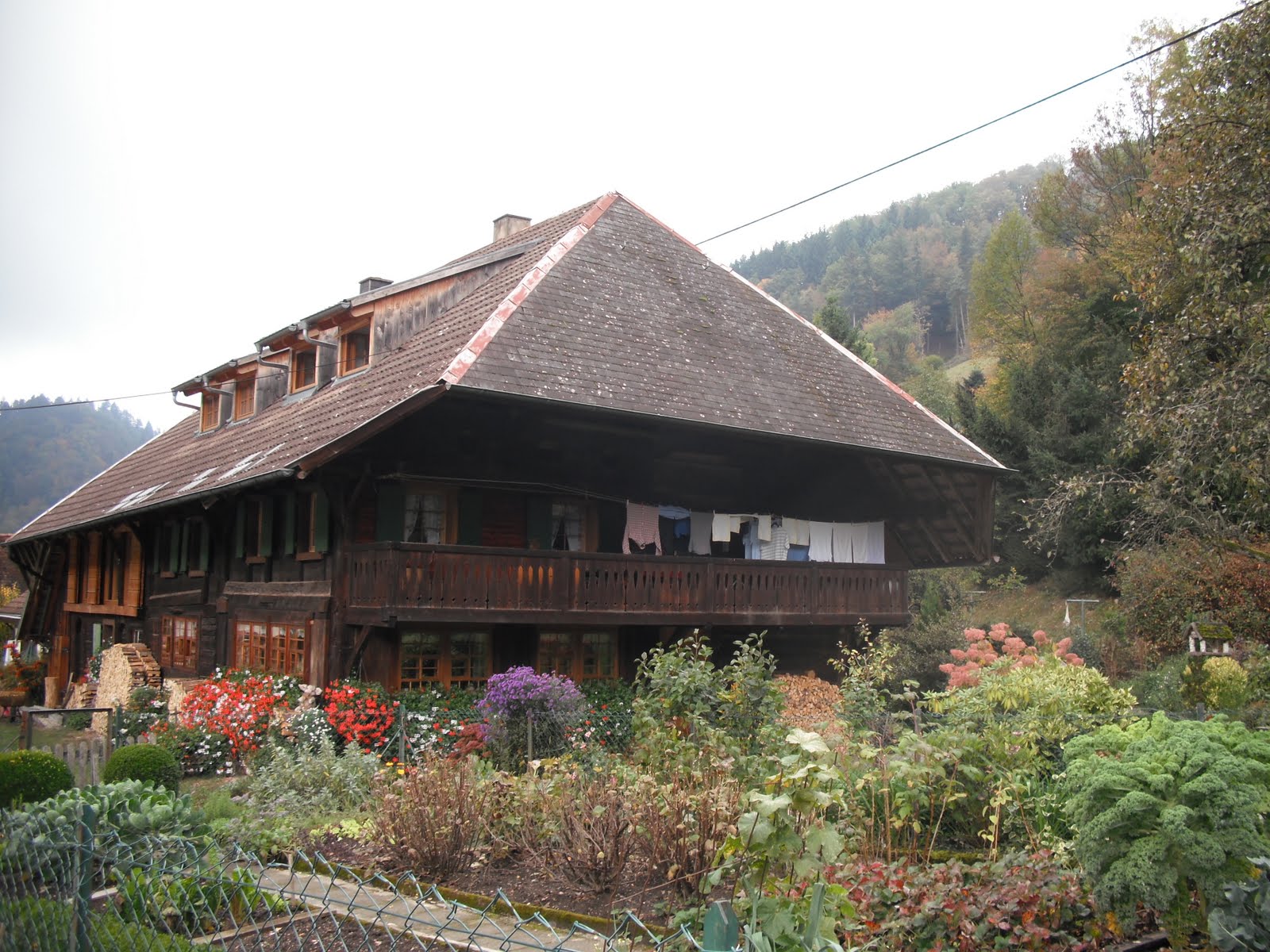 [DSCF0035.JPG]