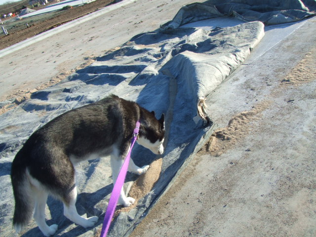 [DSCF2163.JPG]