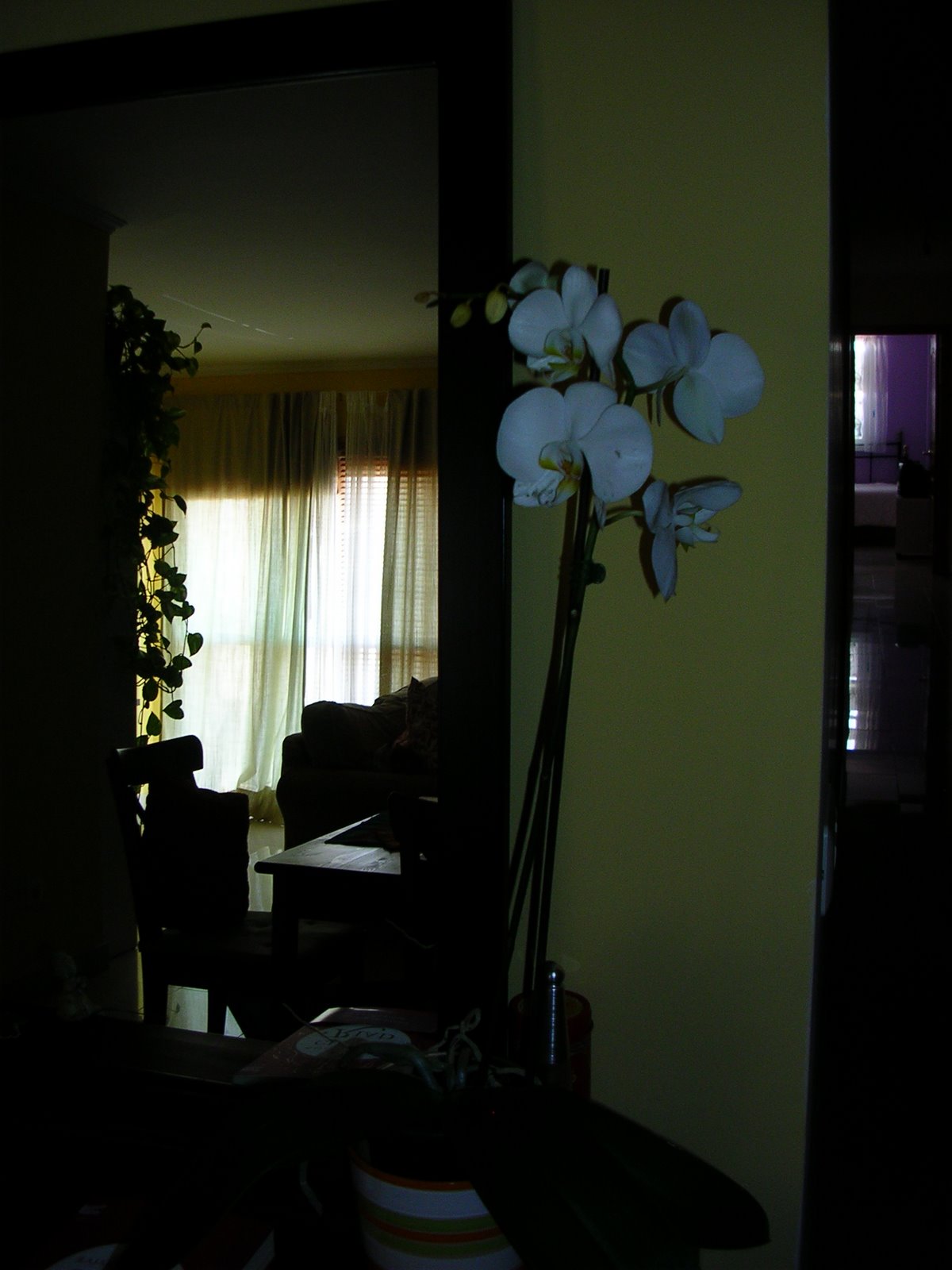 [DSCN6858.JPG]