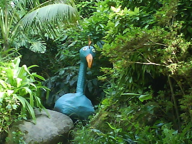 [DSC00315.JPG]
