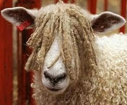 Bisbal (pelo de oveja) en la celebración de la roja