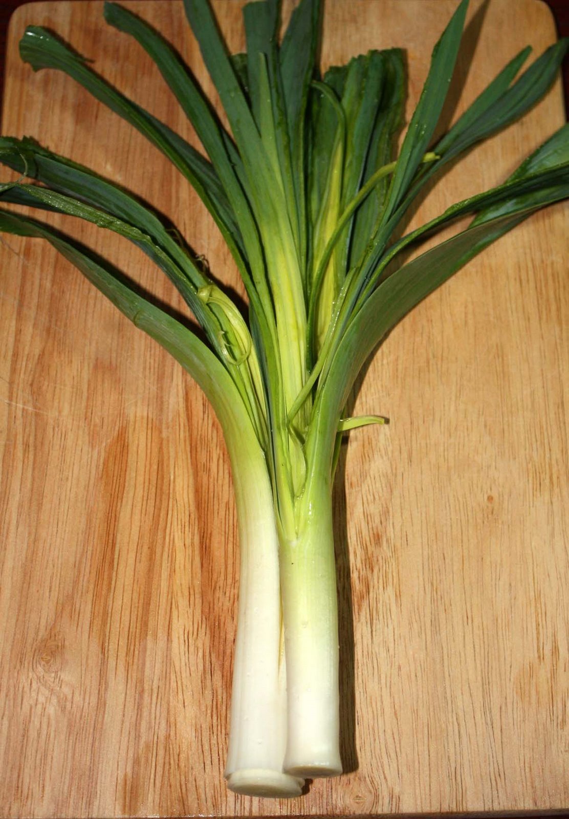 [leeks.jpg]