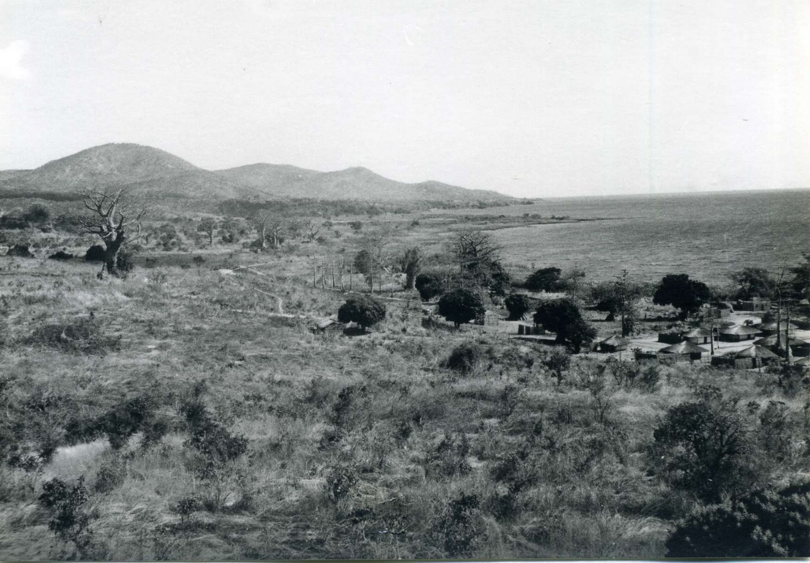 [Cobue008.jpg]