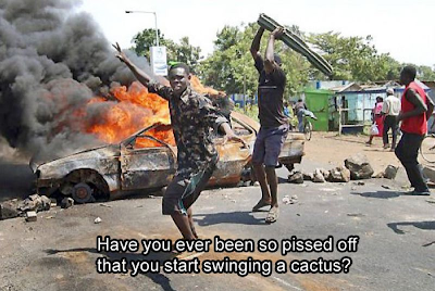 cactus%20weapon.png