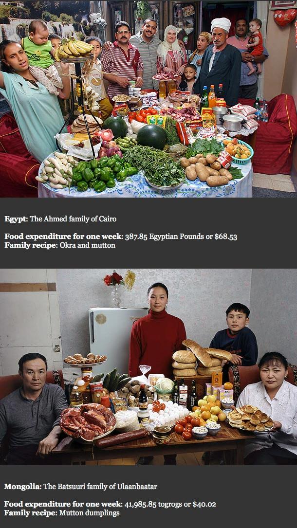 foodfamilies6.JPG