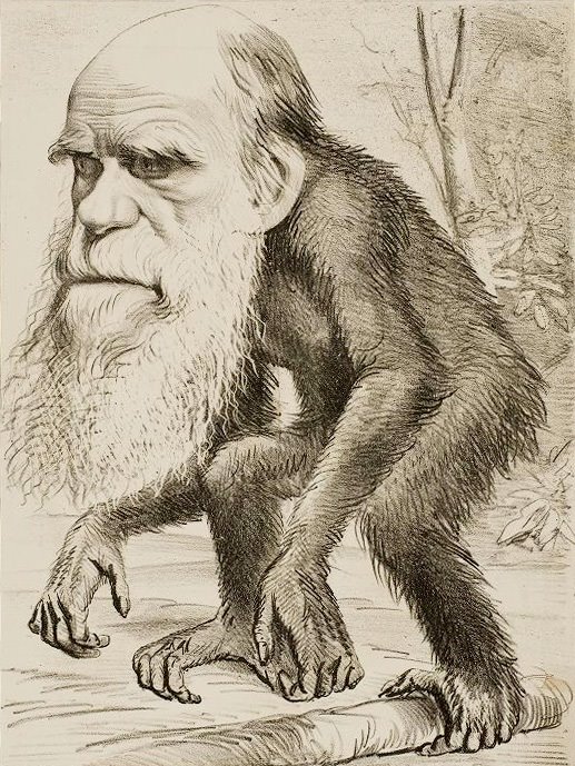 [Darwin+macaco.jpg]