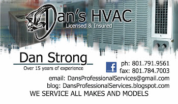 Dan's Professional Services