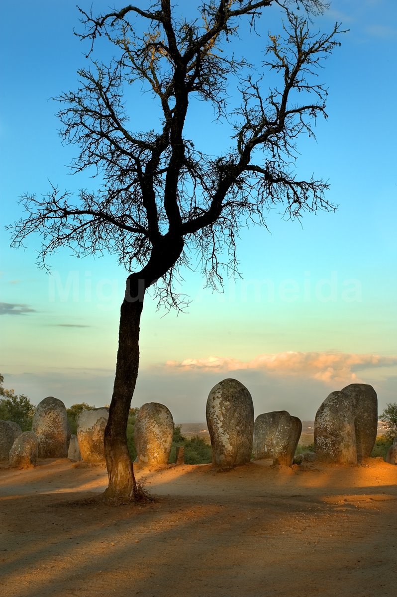 [Untitled-HDR-06.jpg]