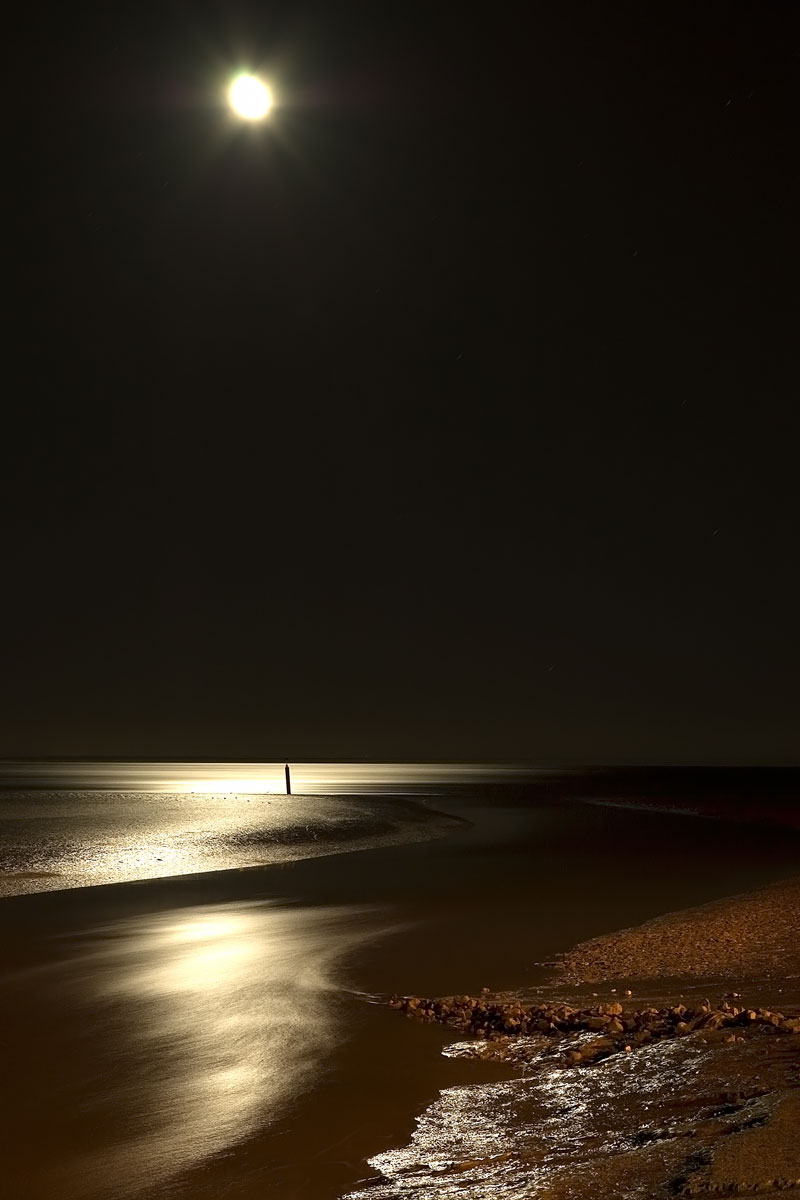 [DSC_4864.jpg]
