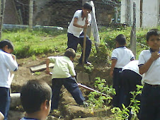 Trabajando en la Huerta