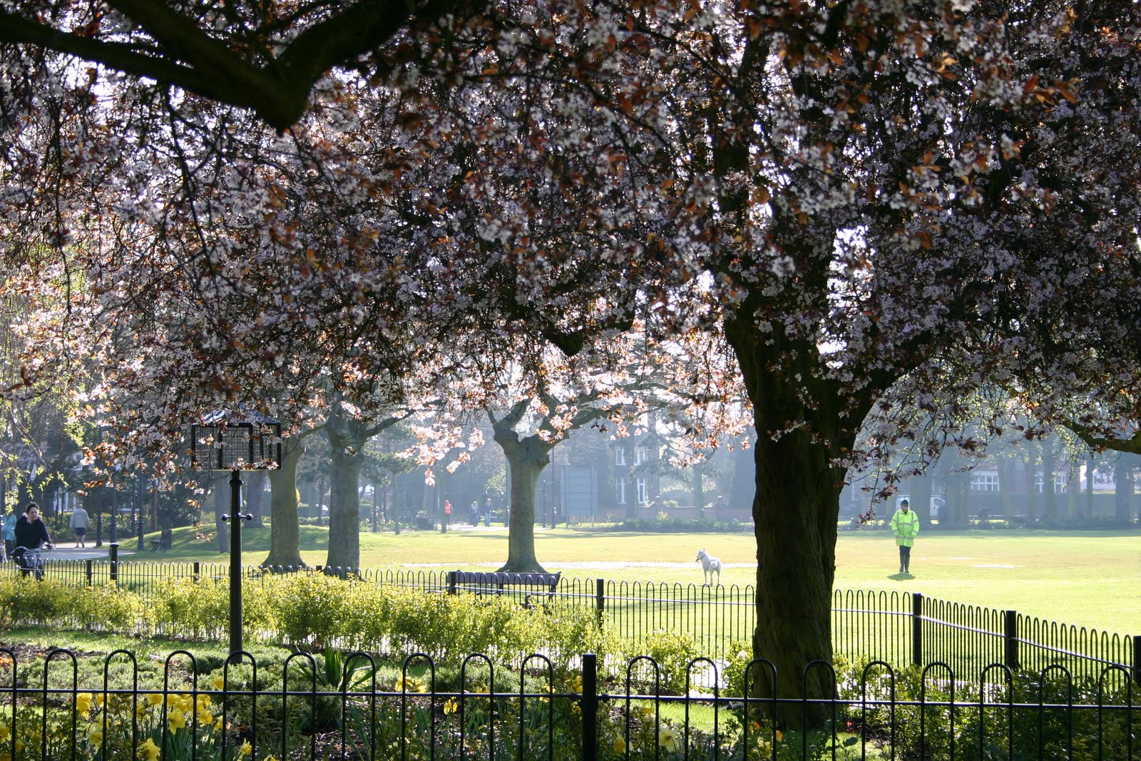 Stop, Listen, See, take a photo People's Park, Grimsby