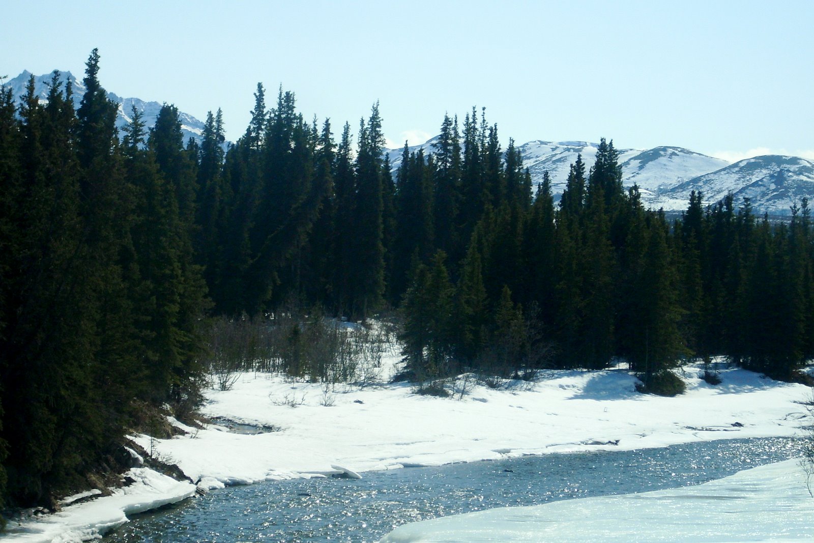 [DSCI0102.JPG]