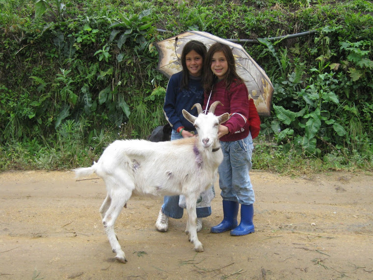 Dia Rural - foto Laís Kühner