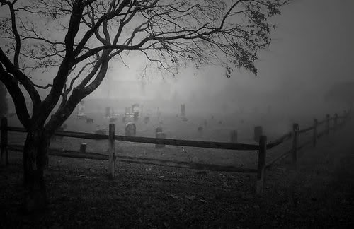 [graveyard.jpg]