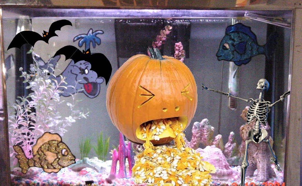 Photography Halloween fish tank