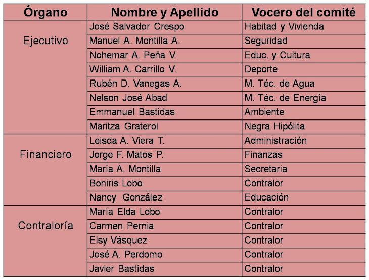 INTEGRANTES DEL PRIMER CONSEJO COMUNAL