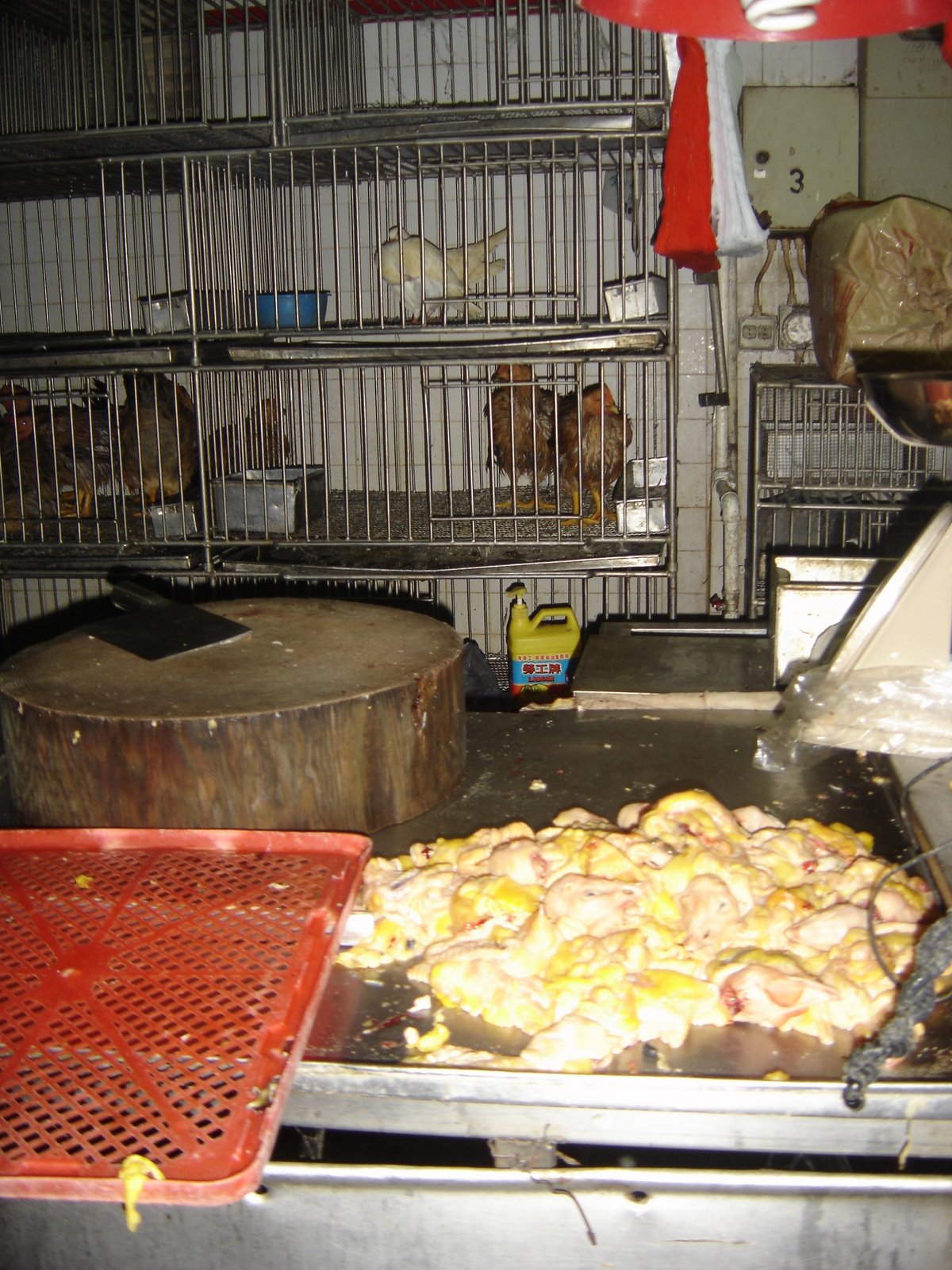 [DSC04351.JPG]