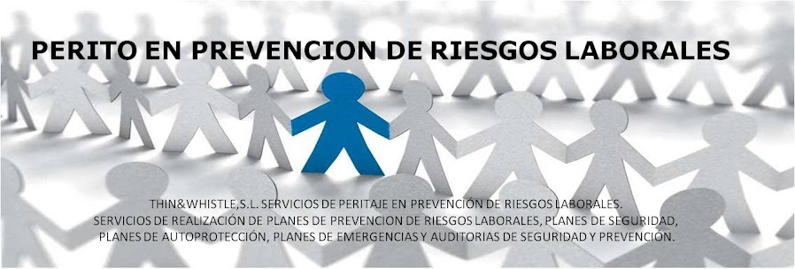 PERITO EN PREVENCION DE RIESGOS LABORALES