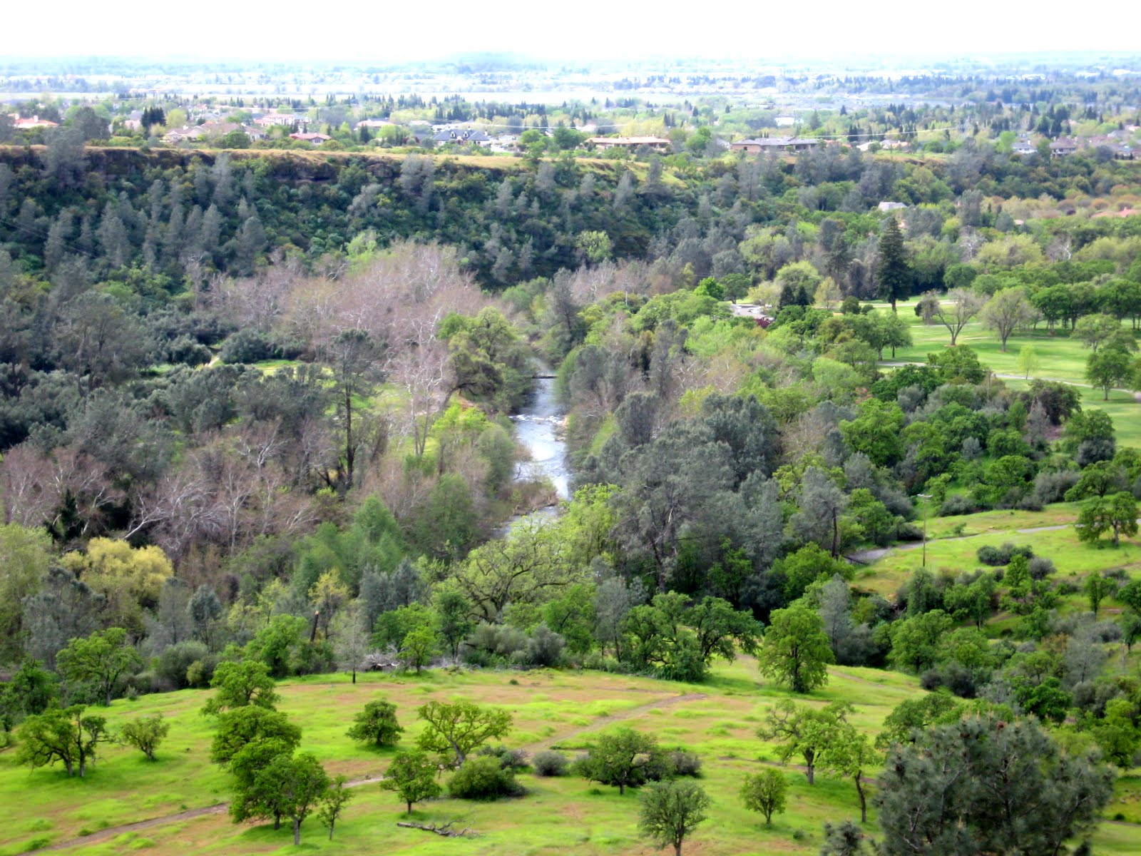 Bidwell Park