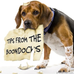 [dog+tips.jpg]
