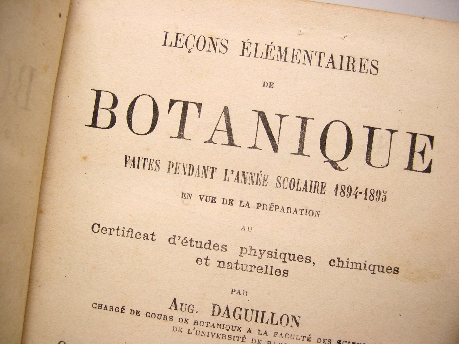[botanique2.JPG]