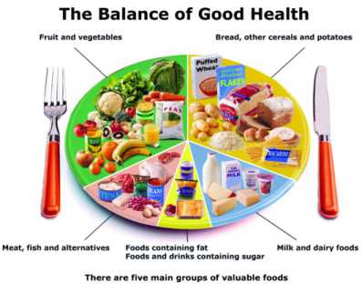 food pyramid worksheets. food chain pyramid worksheet. food pyramid worksheets.