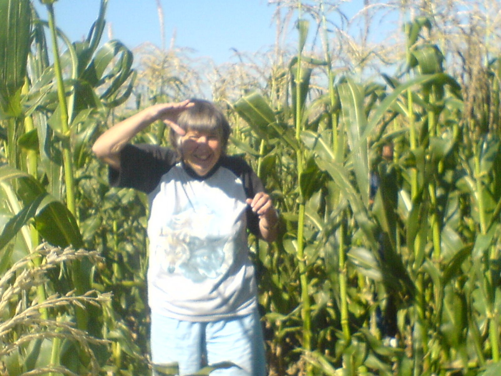 [DSC00390.JPG]