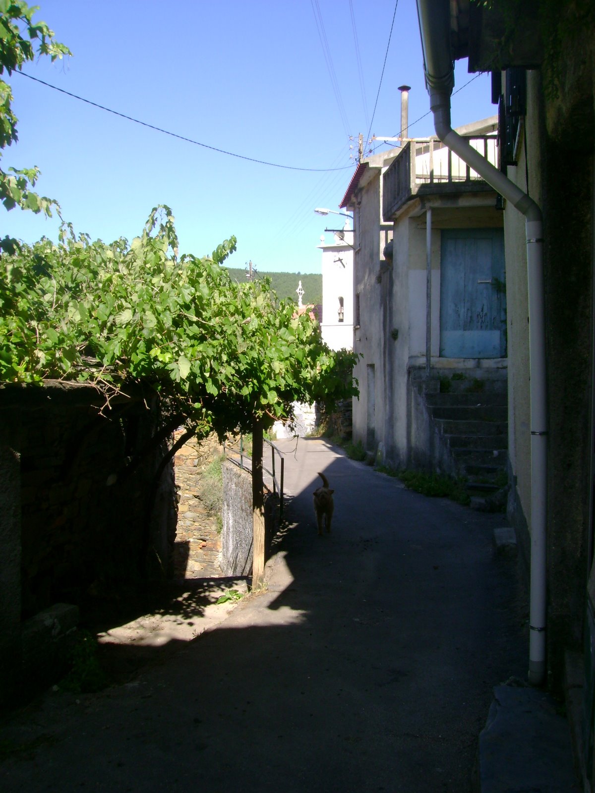[DSC00714.JPG]