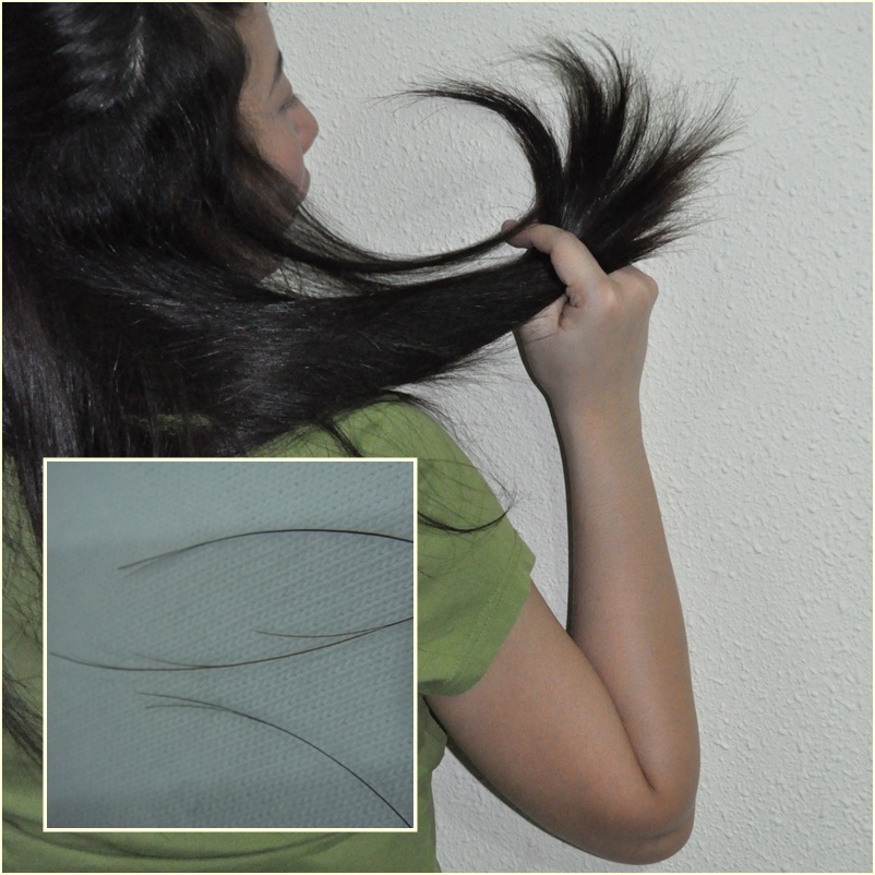 2019 year - Girls, Say NO to Split Ends 2019 year