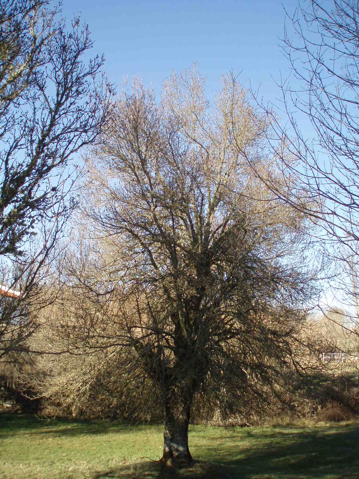 [P2230444.JPG]