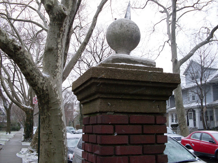 The View From Argyle Heights West South Midwood (Part One)