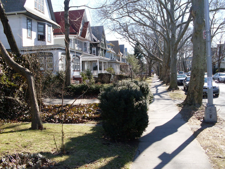 The View From Argyle Heights West South Midwood (Part One)