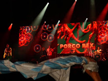 Porco Rex 2008