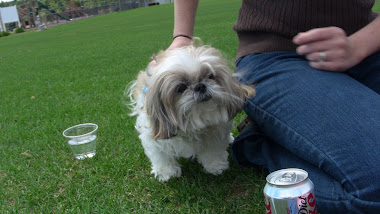 Twig at the Park