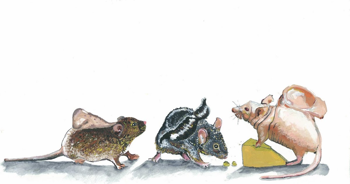 Arts Bog "Vacanti and Friends"