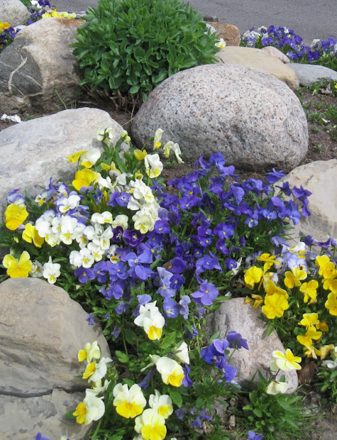garden dream rock landscape