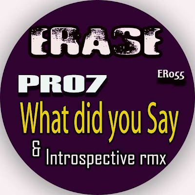 Pro7 - What Did You Say
