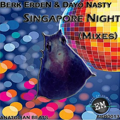 Berk Erden - Singapore Night