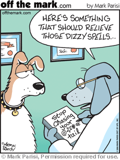 Dating Chiropractic Service