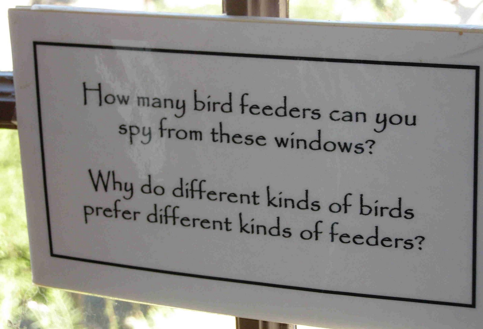 [2007.10.05+SCBWI+Bird+feeder+question.jpg]
