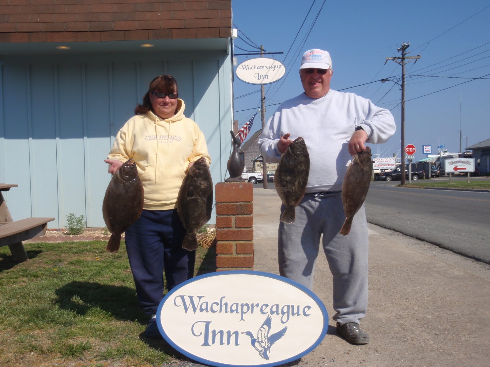 FishWach Wachapreague Fishing Report Four keepers in the box